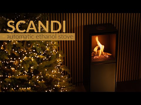 Cargar vídeo: 