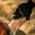 Guantes resistentes al calor de Solo Stove